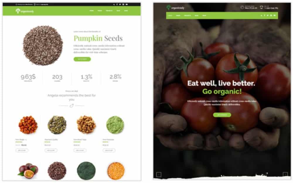 theme-wordpress-blog-culinaire-4
