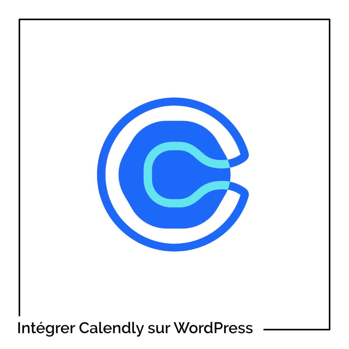 Calendly guide complet pour WordPress