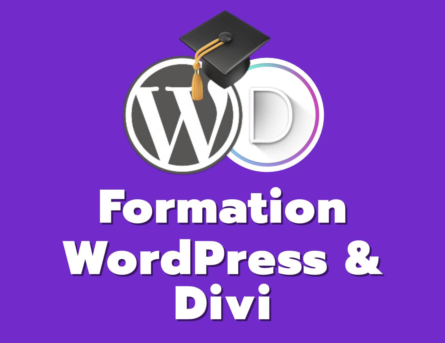 formation wordpress et divi