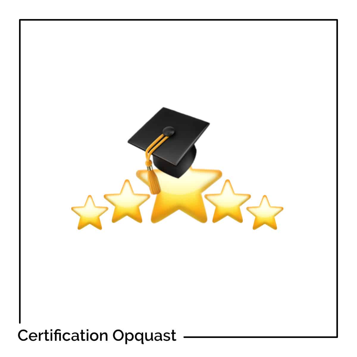 certification Opquast