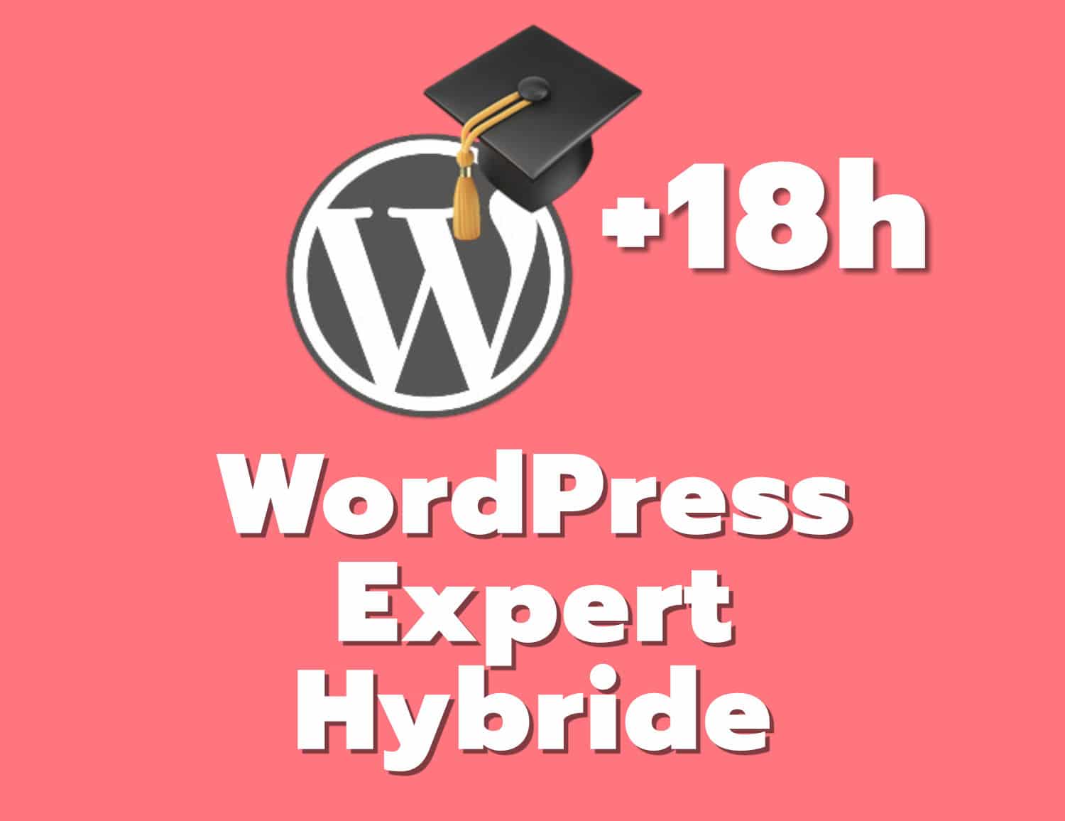 wp expert 18h