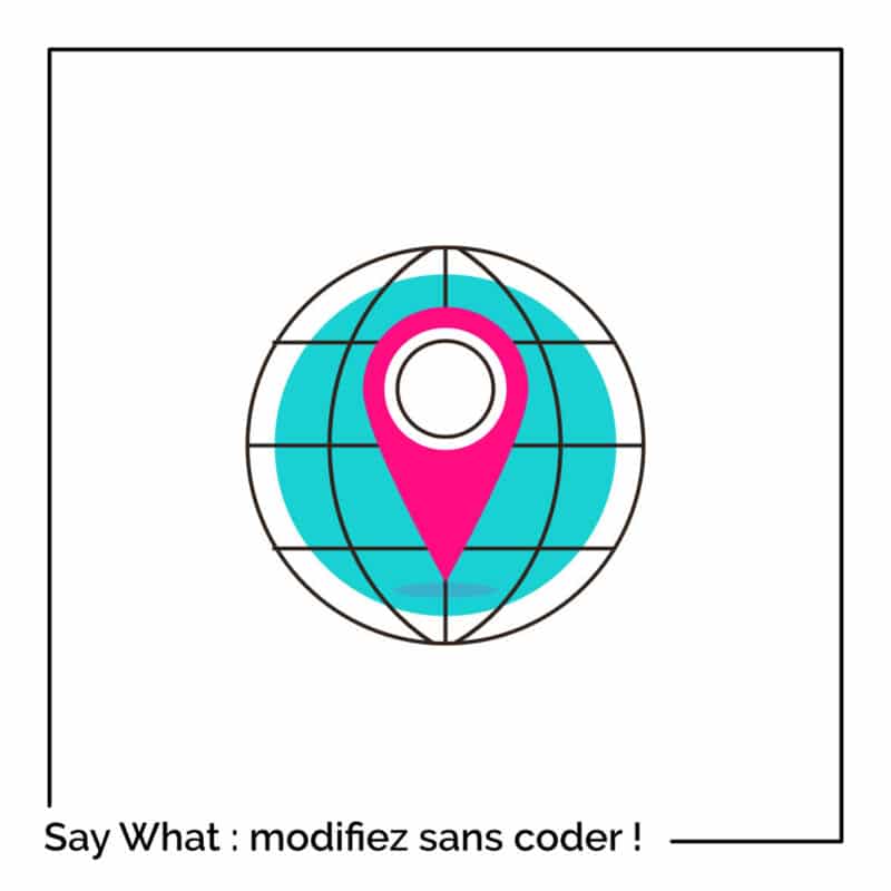 Say What? : modifiez facilement certaines chaînes de texte de votre site WordPress sans toucher au code !